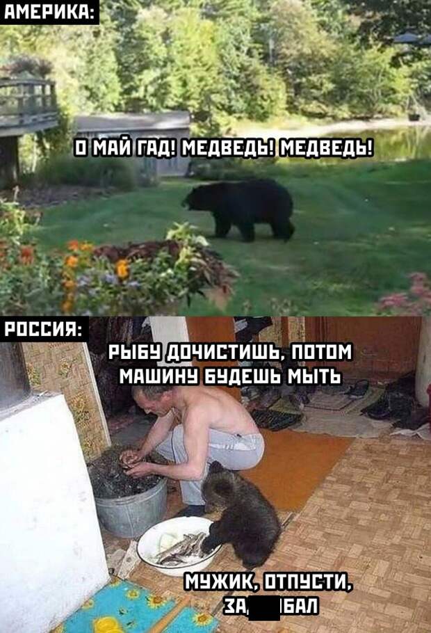 Смешные фото 5 января 2021