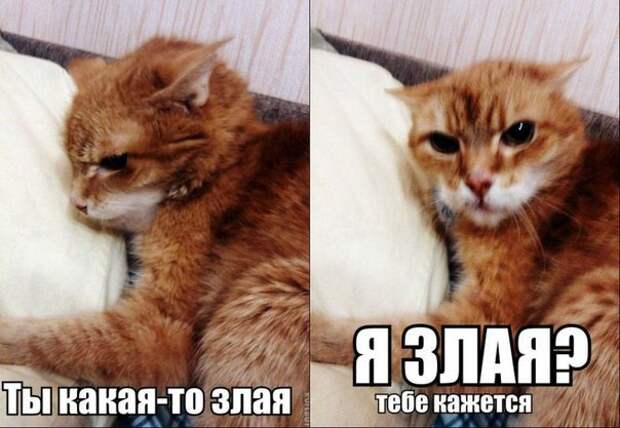 akRHCgOzW9g