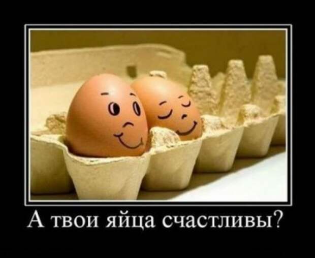 Демотиваторы, создавай прикольное настроение.