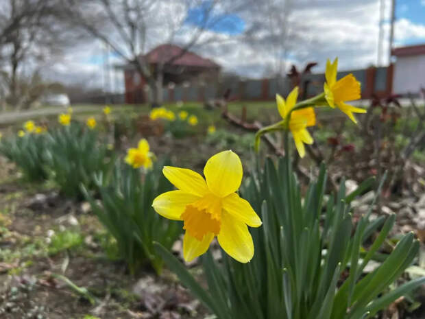 Весна передумала: синоптики дали новый прогноз до конца марта — готовьте валенки обратно