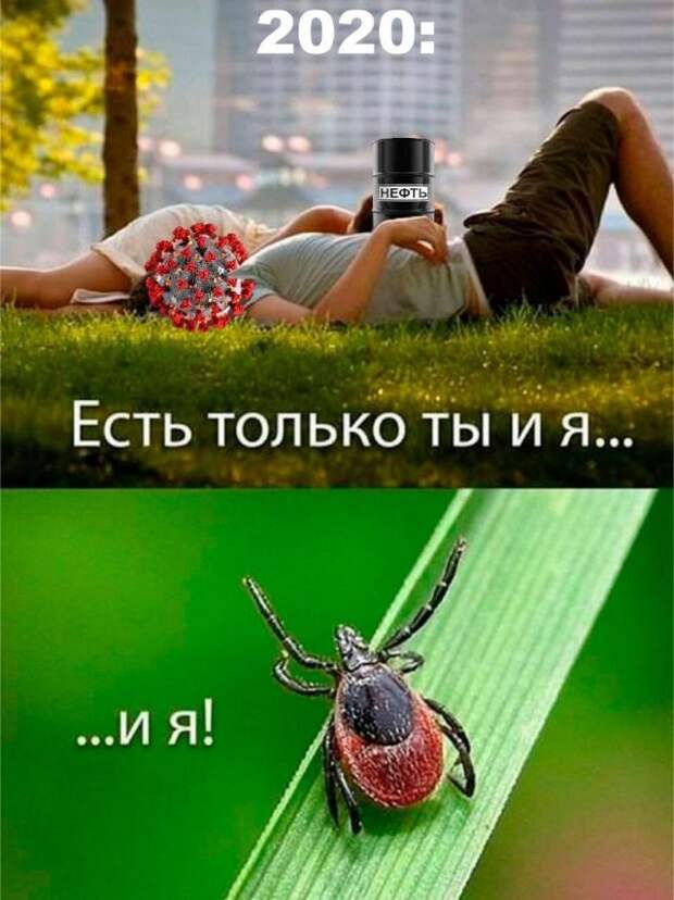 Шутки и мемы про коронавирус и 2020 год