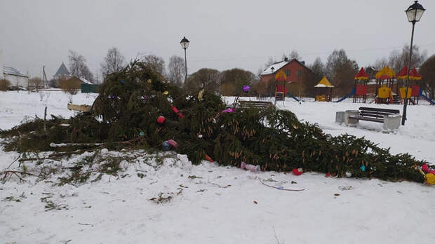 Вандалы повалили новогоднюю ель в Вологде