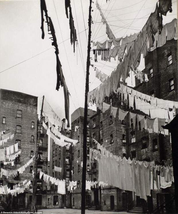14 старых фото о том, как раньше сушили бельё в городах