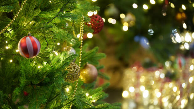 Привлечь удачу и богатство: новогодние ритуалы от звезды «Битвы экстрасенсов» Виктории Райдос