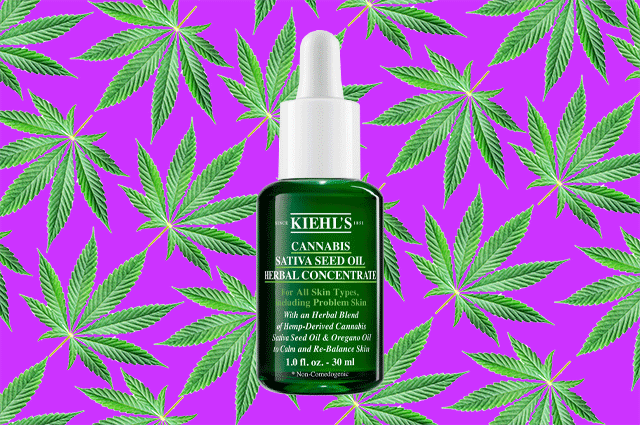 Wanted: концентрат для лица с маслом конопли от Kiehl’s