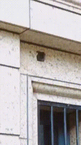 Вы забыли меня покормить