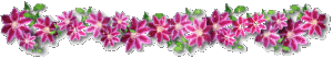 ad97c2ae34b3