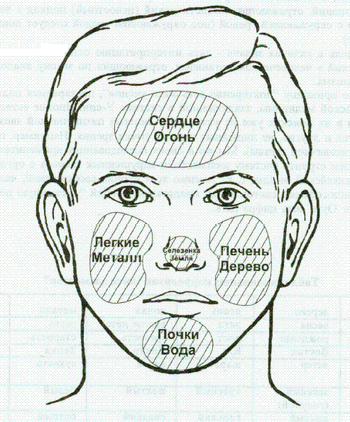Китайская физиогномика - метод диагностики судьбы и состояния здоровья.