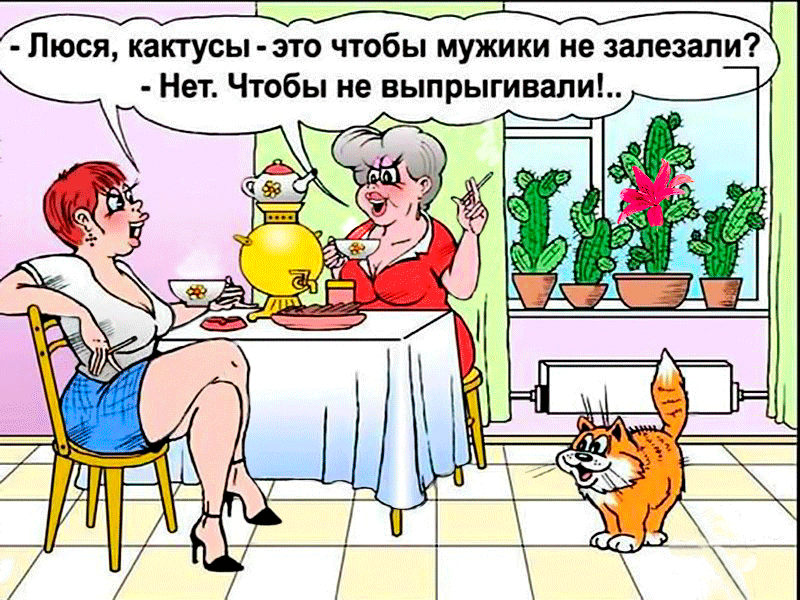 Неадекватный юмор из социальных сетей. Подборка chert-poberi-umor-chert-poberi-umor-38290504012021-16 картинка chert-poberi-umor-38290504012021-16