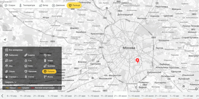 Яндекс.Погода теперь отображает концентрации аллергенов в воздухе