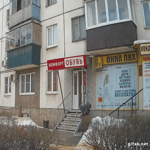 Подборка прикольных Гифок №593 (15 гифок)