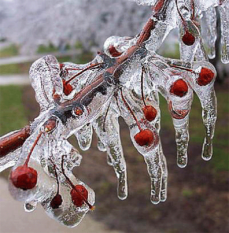 https://writercenter.ru/uploads/images/00/09/65/2012/04/01/avatar_blog_zdravstvuj-aprel.gif