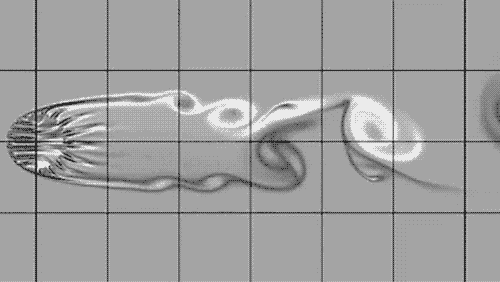 В потоке. Как губка проживает на дне океана