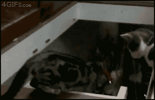 дом