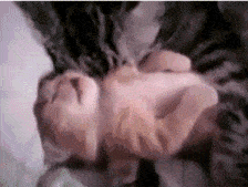 Hosted by imgur.com Кототерапия. Продолжение