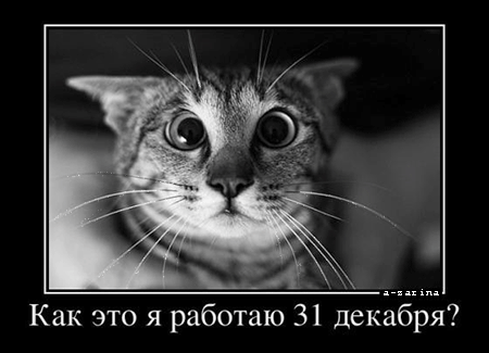 Котоматрицы на Новый год
