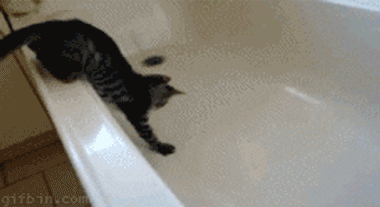 Hosted by imgur.com Кототерапия. Продолжение