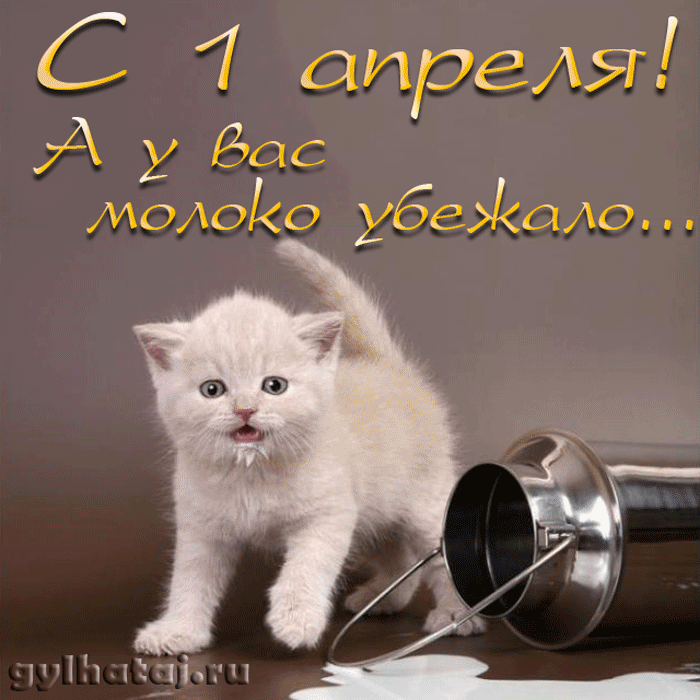 Похожее изображение