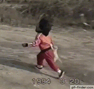 GIF-доказательство, что коты - чертовски весёлые ребята GIF коты юмор
