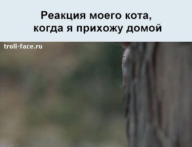 gifkah-situacii-zhiznennye-zhiznenno-komiks
