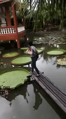 Жизненный урок получен