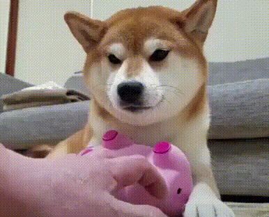 Это моя свинка!