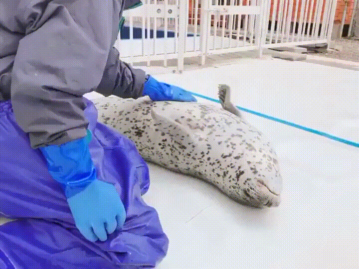 Не уходи от меня Не уходи от меня