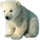 0b065cc2c5a342c6ed66bb745aca5867.gif
