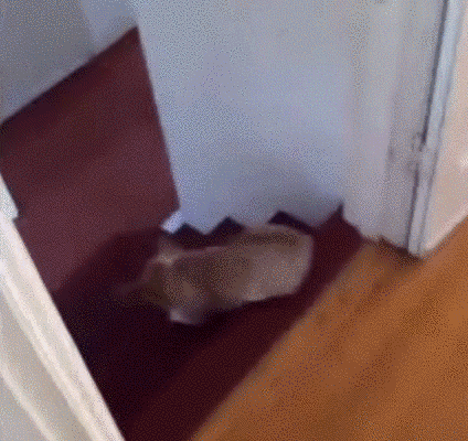 clip_image002