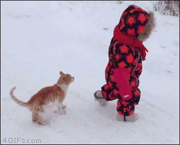 Прикольные гифки