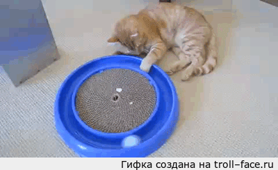 Игрушки кошки