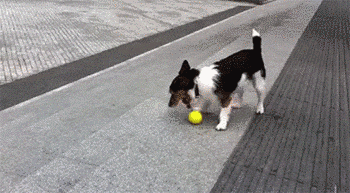 clip_image009