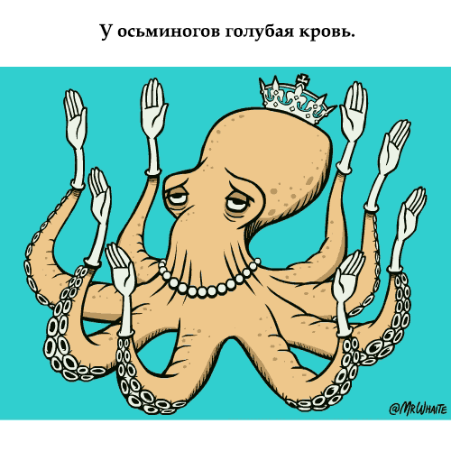 gifkah-zoologiya-zanimatelnaya-eto-interesno-poznavatelno-kartinki gifkah-zoologiya-zanimatelnaya-eto-interesno-poznavatelno-kartinki