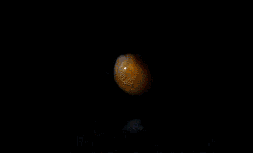 попкорн