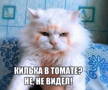 Смехопанорама Писца. Жгучая серия!