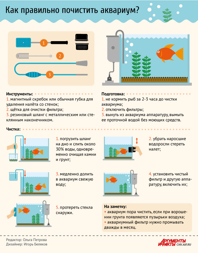 как почистить аквариум