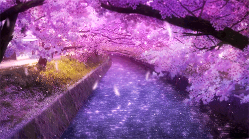 Картинки по запросу sakura petals water