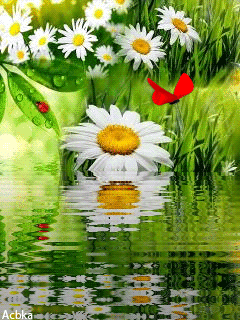 6 (240x320, 315Kb)