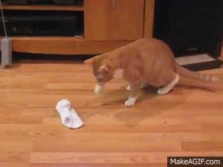 Милые кошачьи испуги