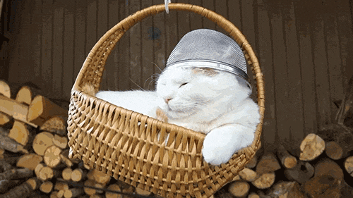 Спокойствие