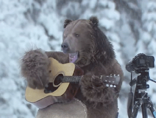 Работящий медведь — счастье в семье, арктика, картинки, медведи