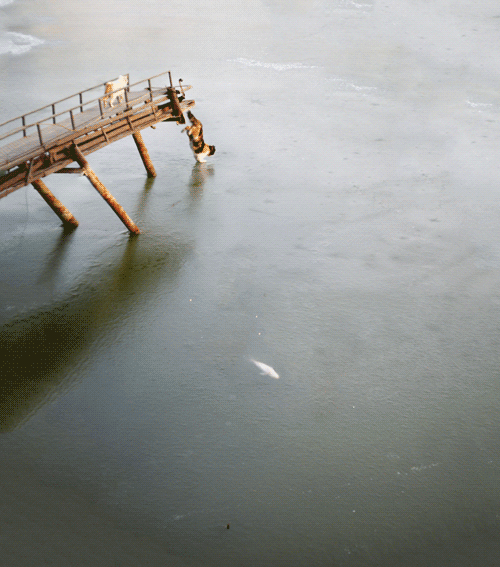 Гифки с юмором