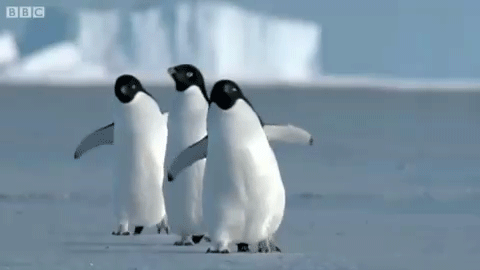 26 вещей, которые тайно делают все беременные