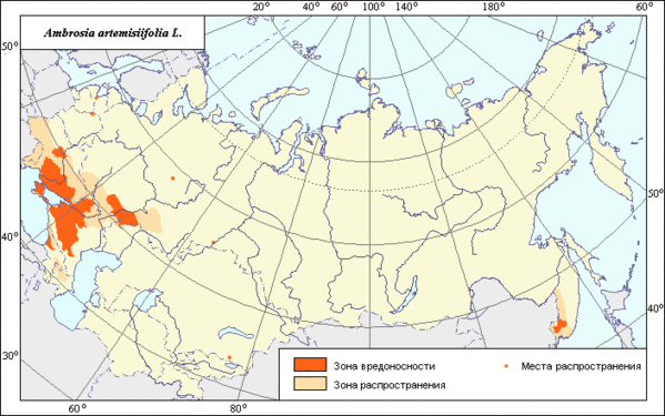 Враг курортного Крыма с красивым названием