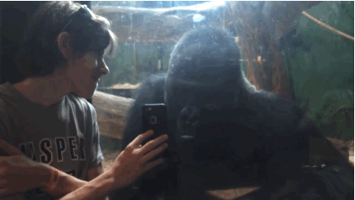 He looks at the photos with intense interest.