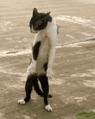 clip_image009
