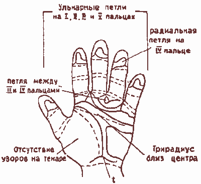 Что означают узоры на пальцах