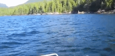 Веселая анимация