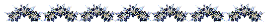 0_2aac6_cd0d3fe_XL (535x57, 16Kb)