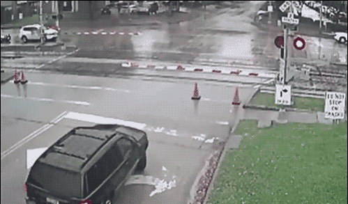 Возможные номинанты на премию Дарвина (30 гифок)